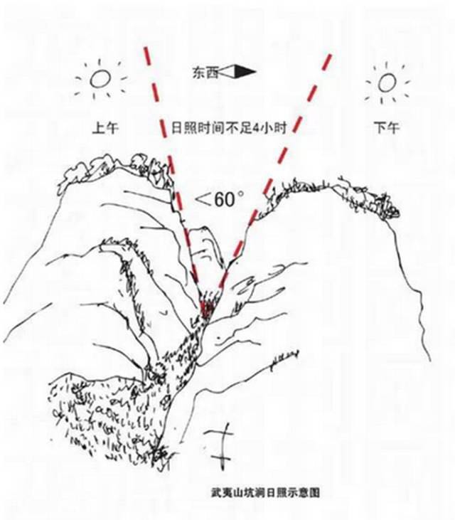 武夷山为什么盛产茶叶，武夷山茶为什么好喝？