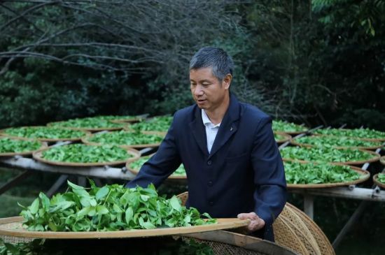 武夷岩茶十大传承人，武夷岩茶（大红袍）传承人名单