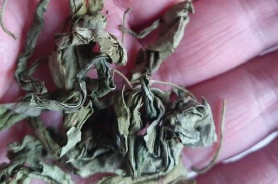 丁香茶有什么功效，丁香茶有什么用处？