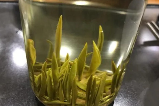 君山银针等级和价格，湖南君山银针茶价位