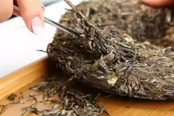 普洱茶饼如何正确撬茶，普洱茶撬茶方法