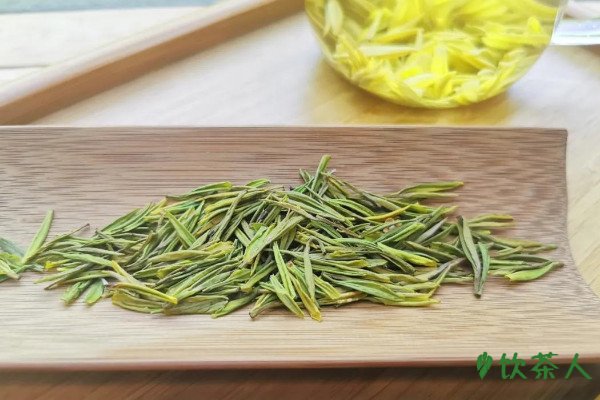 黄金芽属于什么茶，黄金芽茶叶是什么茶