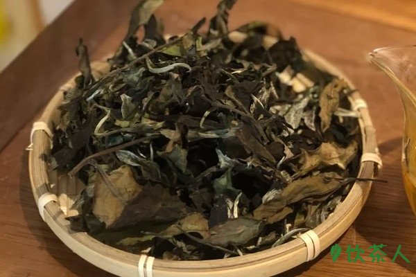 白茶是发酵茶吗?白茶是发酵茶还是半发酵茶