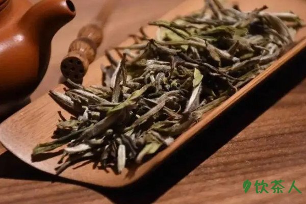 白茶年份越久越好吗，白茶越久越好还是越新越好