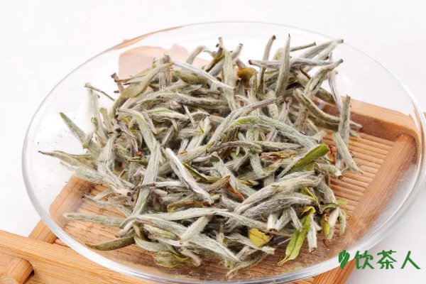 白茶年份越久越好吗，白茶越久越好还是越新越好