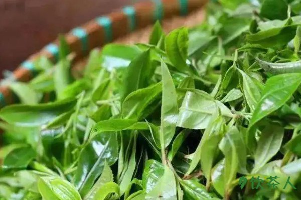 茶叶怎么炒，茶叶炒茶制作工艺流程