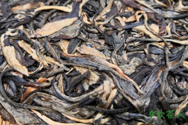 易武茶的特点和口感，易武茶口感特点描述