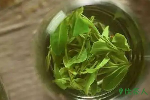 绿茶可以泡几次?绿茶冲泡几次比较好