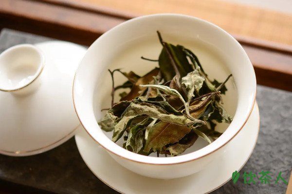 白茶饼的泡法，白茶饼冲泡的正确方法(撬茶及冲泡技巧)