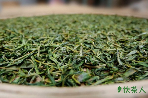 奶绿和奶茶有什么区别，原料/口感/颜色/性能不同