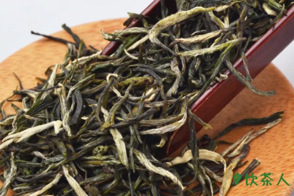 永川秀芽属于什么茶，用多少度的水泡比较合适(鲜爽十足)