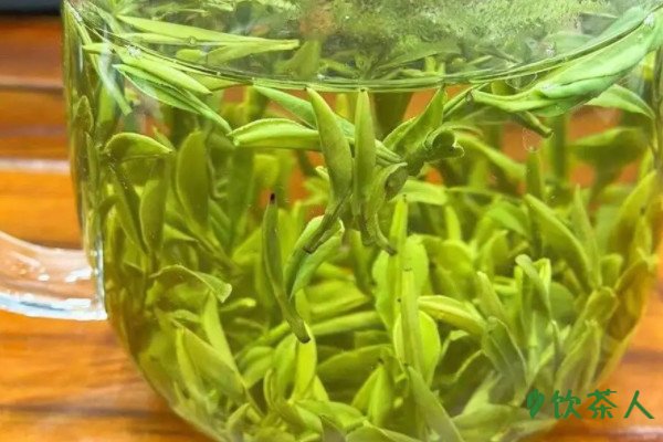 绿杨春属于什么茶，什么价格(条形烘表类绿茶)