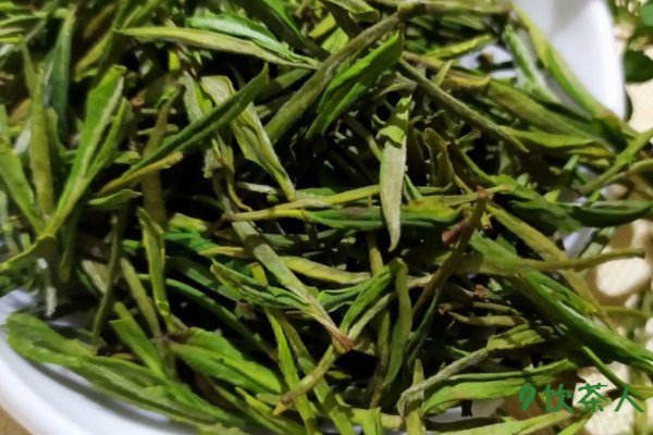 安吉白茶是属于什么茶类，安吉白茶属于哪类茶(白化绿茶)