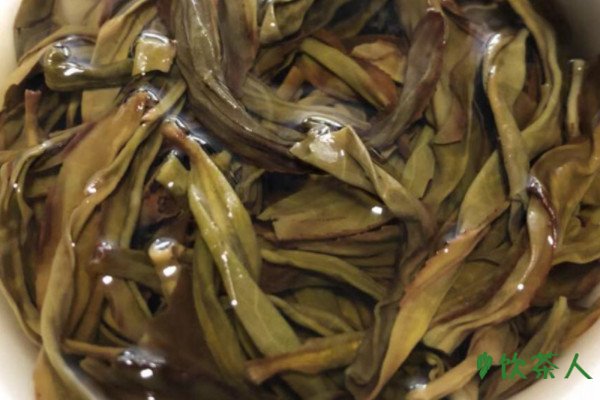 潮州特产茶叶是什么茶，潮州的茶叶有哪些品种(五大名茶)