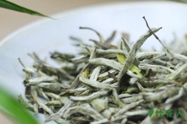 安溪白茶属于什么茶，安溪白茶是绿茶还是白茶(优质青茶)