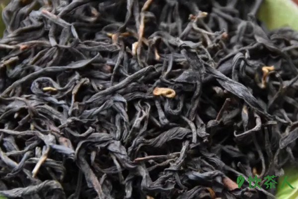 红茶的起源发展和历史，红茶的历史发展过程(起源于中国福建)