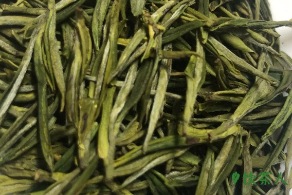 安吉白茶新茶几月份上市，安吉白茶什么时间新茶上市