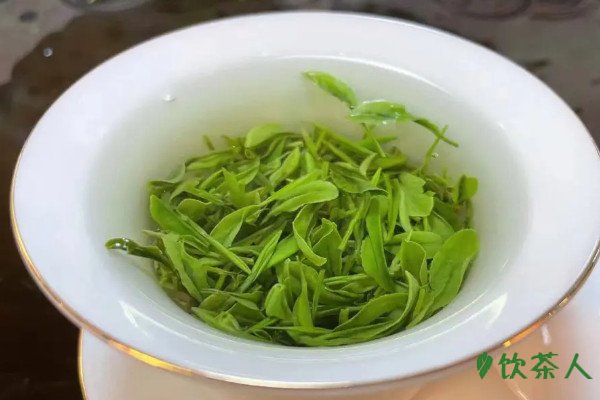 蒸青绿茶有哪些，蒸青绿茶有哪几种茶叶(分为五大品种)