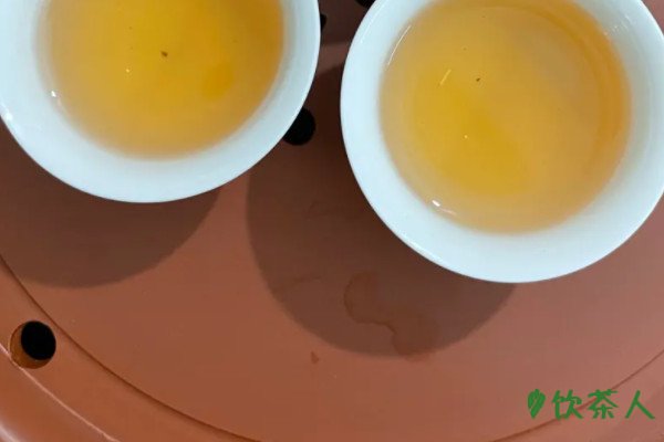 单枞一般是什么茶，单枞属于绿茶吗(著名青茶品种)