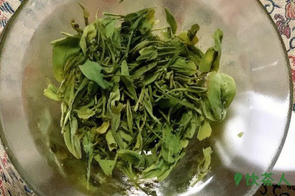 日本玉露怎么泡，日本玉露冲泡方式(万能杯泡技巧)