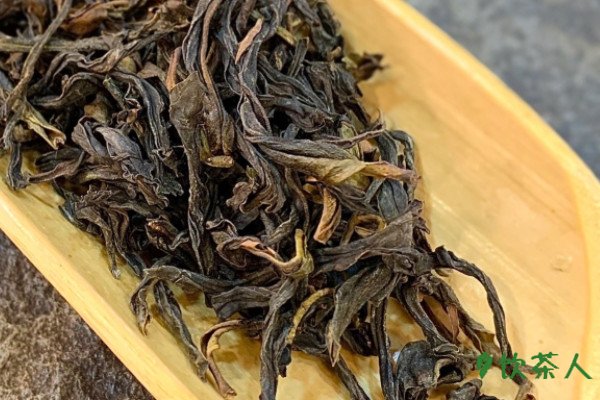 单丛茶属于红茶吗，单丛茶叶是红茶还是绿茶(优质青茶代表)