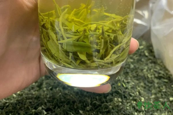 洞庭碧螺春是绿茶吗，属于绿茶(中国十大名茶之一)