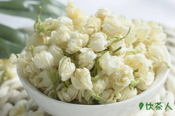什么茶叶喝了对身体好，绿茶\参茶\茉莉花茶\菊花茶\大麦茶