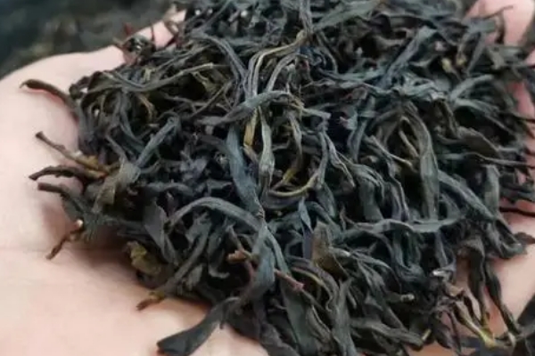 鸭屎香为什么比蜜兰香贵，蜜兰香鸭屎香的区别
