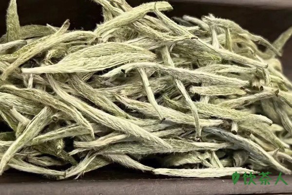 白茶为什么是万病之药，一年茶三年药七年宝(有养生功效)