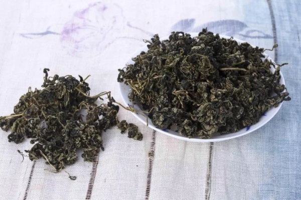 绞股蓝茶的功效与作用，喝绞股蓝的好处