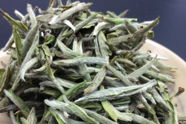 白茶是什么味道，白茶口感特点描述