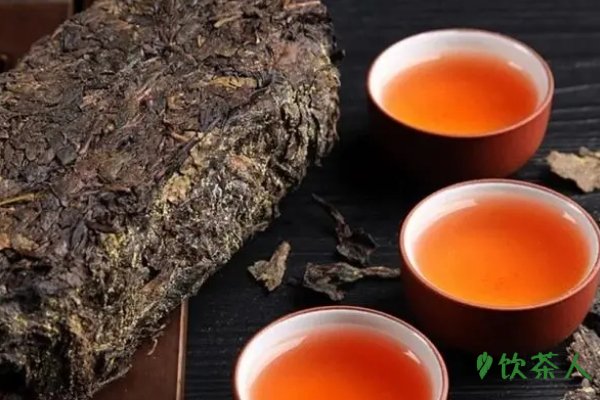 养生壶可以煮哪些东西，黑茶/老白茶/熟普洱/武夷岩茶