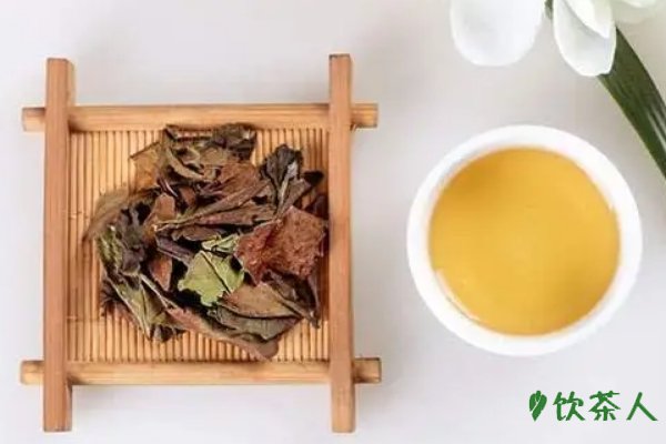 白茶的鉴别方法，先看外形/再尝味道/观叶底/闻香气