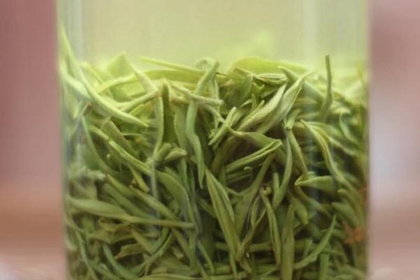 毛尖怎么保存，毛尖茶叶储存方法