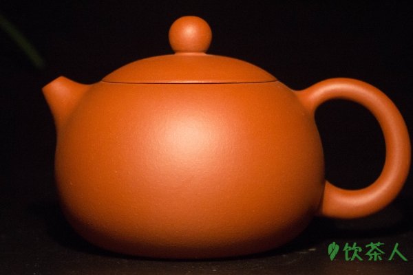 西施壶优缺点，外形优美/适合新手入门使用(实用性不强)